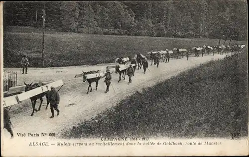 Ak Haut Rhin, Mulets servant au ravitaillement dans la vallee de Goldback, route de Munster