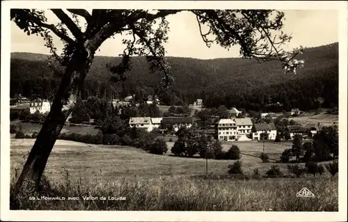 Ak Le Hohwald Elsass Bas Rhin, Vallon de Louise, Blick auf den Ort