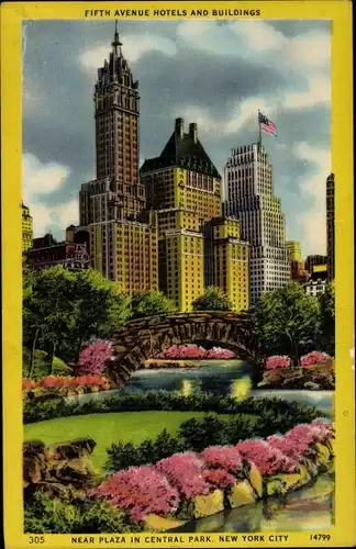 Ak New York City USA, Fifth Avenue Hotels and Buildings, Near Plaza in Central Park
