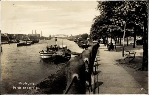 Ak Magdeburg an der Elbe, Partie an der Elbe, Dampfer an der Anlegestelle