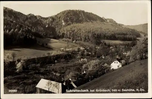 Ak Schrattenbach Niederösterreich, Blick auf den Ort