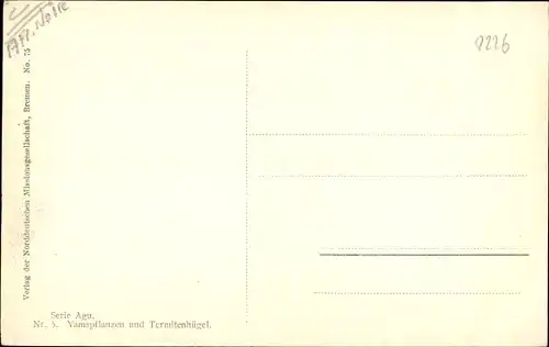 Ak Yamspflanzen und Termitenhügel, Eínheimischer