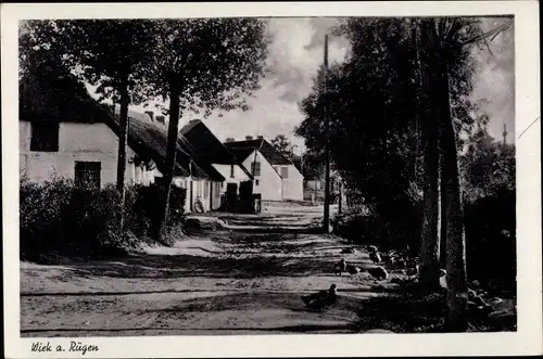 Ak Wiek auf der Insel Rügen, Straßenpartie, Enten, Häuser