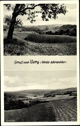 Ak Berg bei Ahrweiler Rheinland Pfalz, Vicheltal