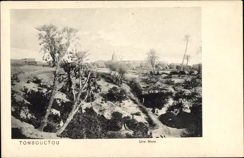 Ak Timbuktu Tombouctou Mali, Une Mare, Landschaft