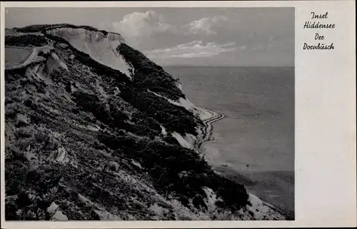 Ak Insel Hiddensee in der Ostsee, Der Dornbusch, Küstenlandschaft