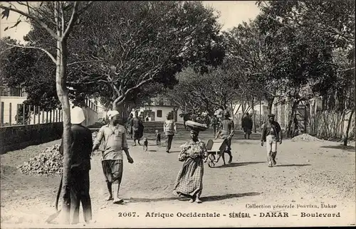 Ak Dakar Senegal, Afrique Occidentale, Boulevard, Straßenansicht, Schubkarre