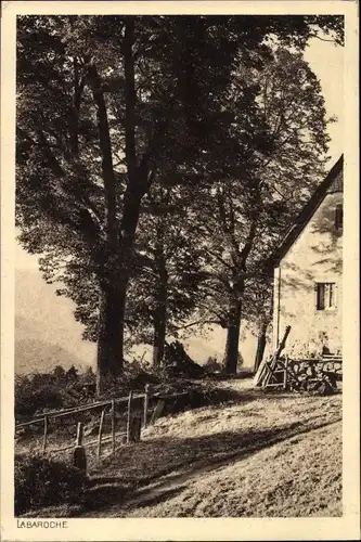 Ak Labaroche Haut Rhin, Ortsansicht, Wohnhaus, Bäume