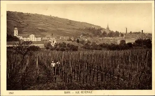 Ak Barr Elsass Bas Rhin, Blick auf den Ort, Weinberg