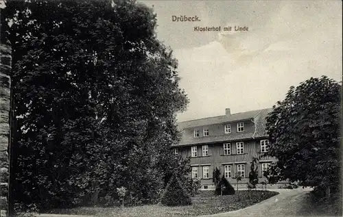 Ak Drübeck Ilsenburg am Nordharz, Klosterhof mit Linde