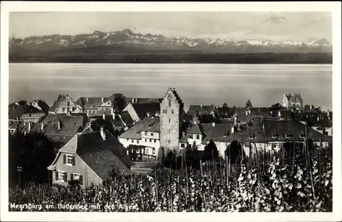 Ak Meersburg am Bodensee, Blick aus den Weinreben zum Ort mit Bodensee