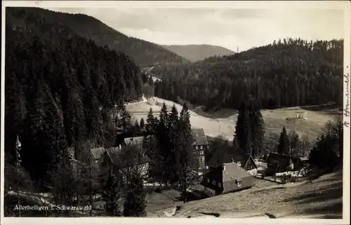 Ak Allerheiligen Oppenau im Schwarzwald, Gehöft, Wald