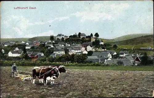 Ak Daun in der Eifel, Blick zum Ort vom Acker aus, Bauer pflügt Feld, Kuhgespann