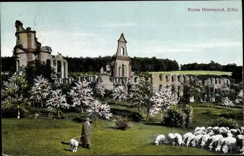 Ak Großlittgen Eifel, Klosterruine Himmerod, Hirte, Schafe, Feld, Wiese