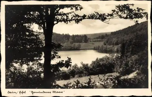 Ak Daun in der Eifel, Gemündener Maar