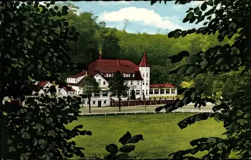 Ak Bad Iburg in Niedersachsen, Waldhotel Felsenkeller