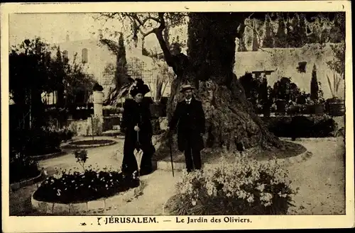 Ak Jerusalem Israel, Josaphat, Tal Joschafat, Kidrontal, Le Jardin des Oliviers