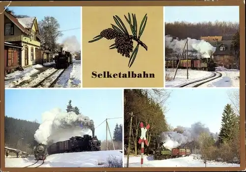 Ak Dampflokomotive, Selketalbahn, Winter, Straßberg, Harzgerode, Alexisbad