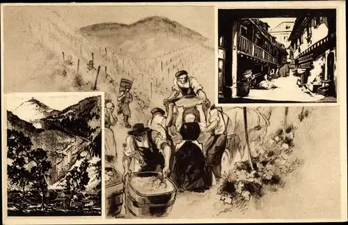 Ak Elsass Bas Rhin, Bauern bei der Weinlese, Ortsansicht