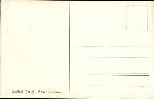 Ak Saalfeld an der Saale Thüringen, hoher Schwarm