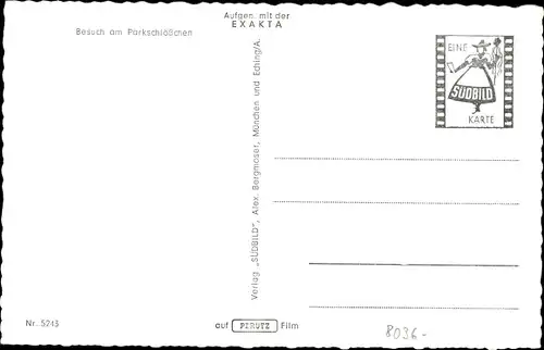 Ak Herrsching am Ammersee, Parkschlösschen u. Schwäne