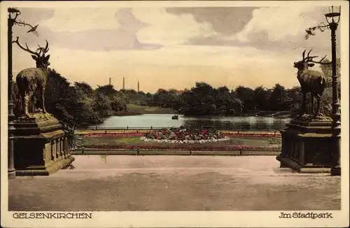 Ak Gelsenkirchen im Ruhrgebiet, Stadtpark, Hirschgruppe