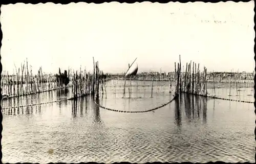 Ak Valencia Stadt Spanien, Albufera, Fishing