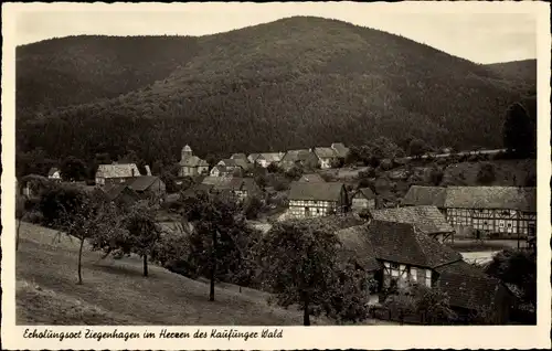 Ak Ziegenhagen Witzenhausen im Werra Meißner Kreis, Ortsansicht, Kaufunger Wald