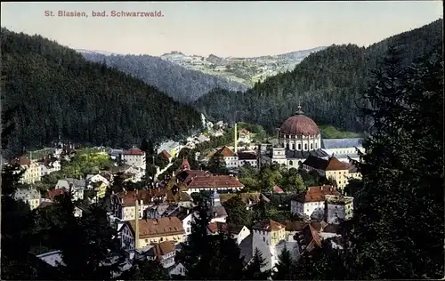 Ak Sankt Blasien im Schwarzwald Umgebung, Teilansicht, Wald