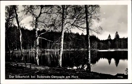 Ak Bad Suderode Quedlinburg im Harz, Silberteich