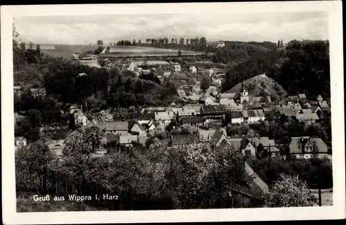 Ak Wippra Sangerhausen am Harz, Gesamtansicht