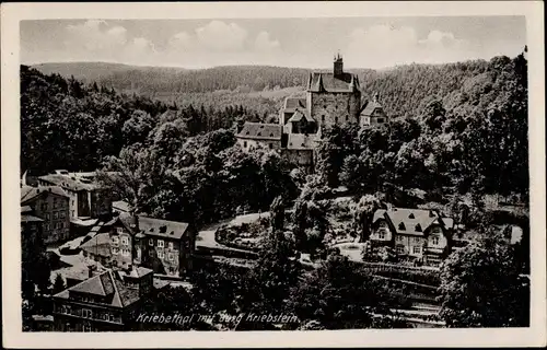 Ak Kriebstein in Mittelsachsen, Burg Kriebstein, Kriebethal