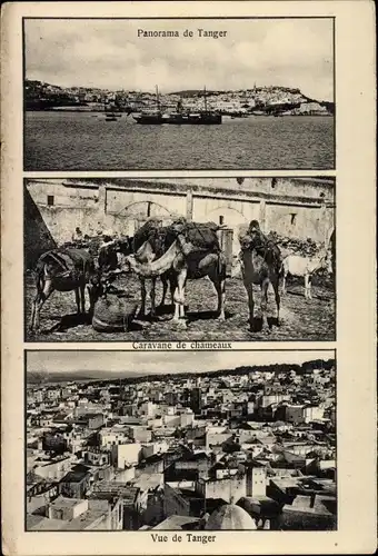 Ak Tanger Marokko, Panorama, Caravane de chameaux