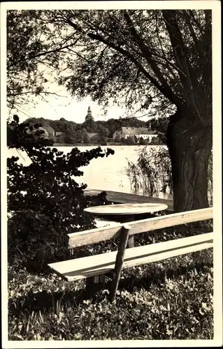 Foto Mirow Mecklenburgische Seenplatte, Mirowsee mit Bank im Vordergrund