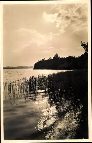 Foto Mirow Mecklenburgische Seenplatte, Zotzensee