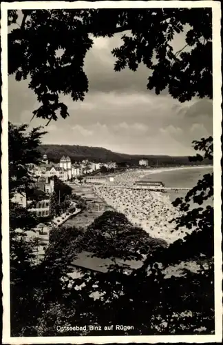 Ak Ostseebad Binz auf Rügen, Strand, Meer, Bäume im Vordergrund