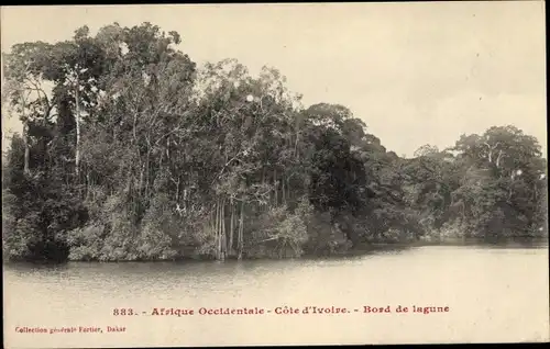 Ak Elfenbeinküste, Bord de lagune