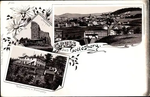 Litho Boguszów Gottesberg Schlesien, Ruine Hochwald, Restauration zur Friedenshöhe, Totalansicht