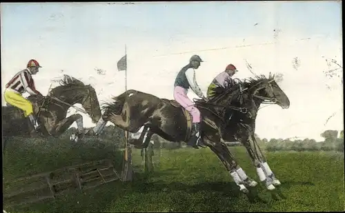 Ak Querfeldeinrennen, Reiter, Pferderennen