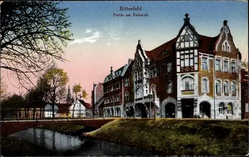 Ak Bitterfeld in Sachsen Anhalt, Partie am Ratswall