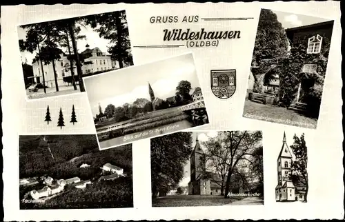 Ak Wildeshausen in Oldenburg, St. Petri Kirche, Alexanderkirche