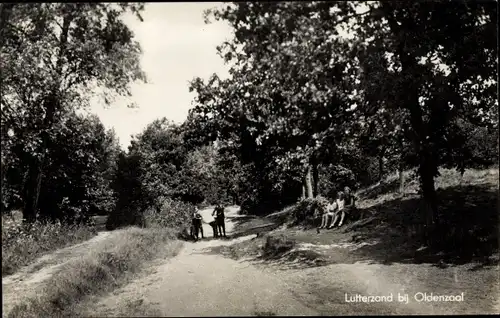 Ak Oldenzaal Overijssel, Lutterzand, Straße, Wald