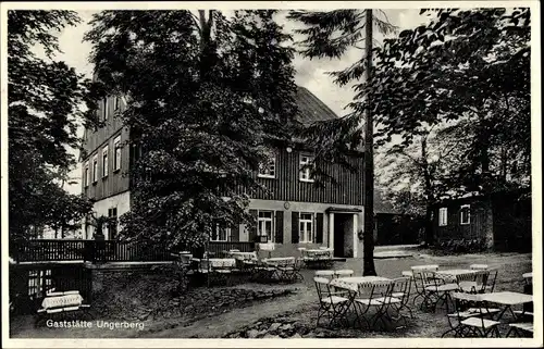 Ak Neustadt in Sachsen, Gaststätte Ungerberg