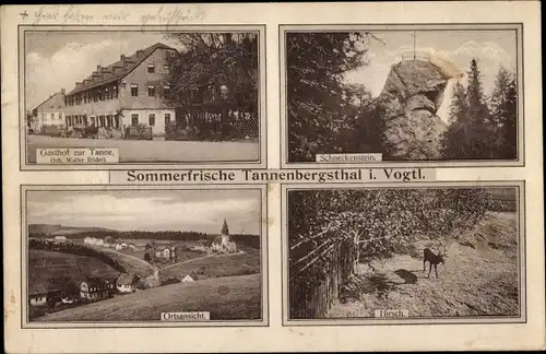 Ak Tannenbergsthal Muldenhammer im Vogtland, Gasthof zur Tanne, Schneckenstein, Teilansicht, Hirsch