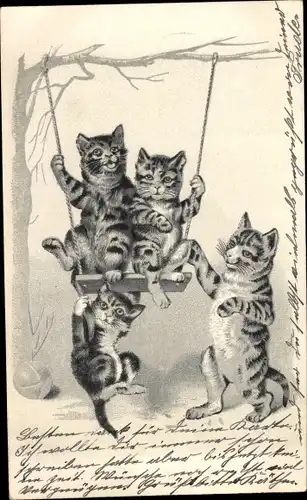 Litho Katzen auf einer Schaukel