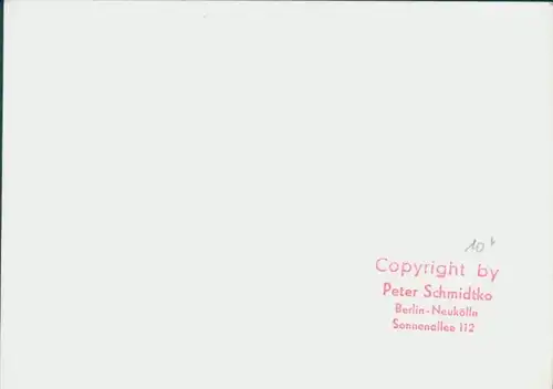 Foto Steherrennen, Radrennfahrer mit Schrittmacher