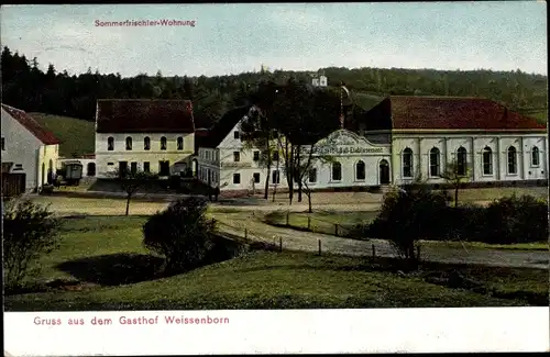 Ak Weißenborn Zwickau in Sachsen, Gasthof Weißenborn, Pension