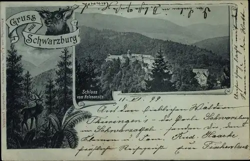 Ak Schwarzburg in Thüringen, Schloss vom Helenensitz aus gesehen, Hirsch