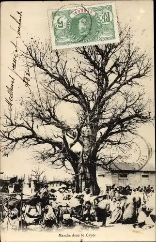 Ak Senegal, Marché dans le Cayor, Großer Baum, Marktplatz