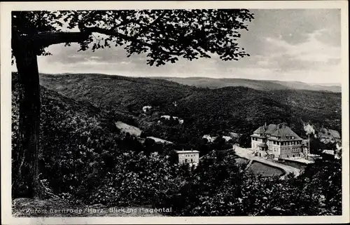 Ak Gernrode Quedlinburg im Harz, Hagental